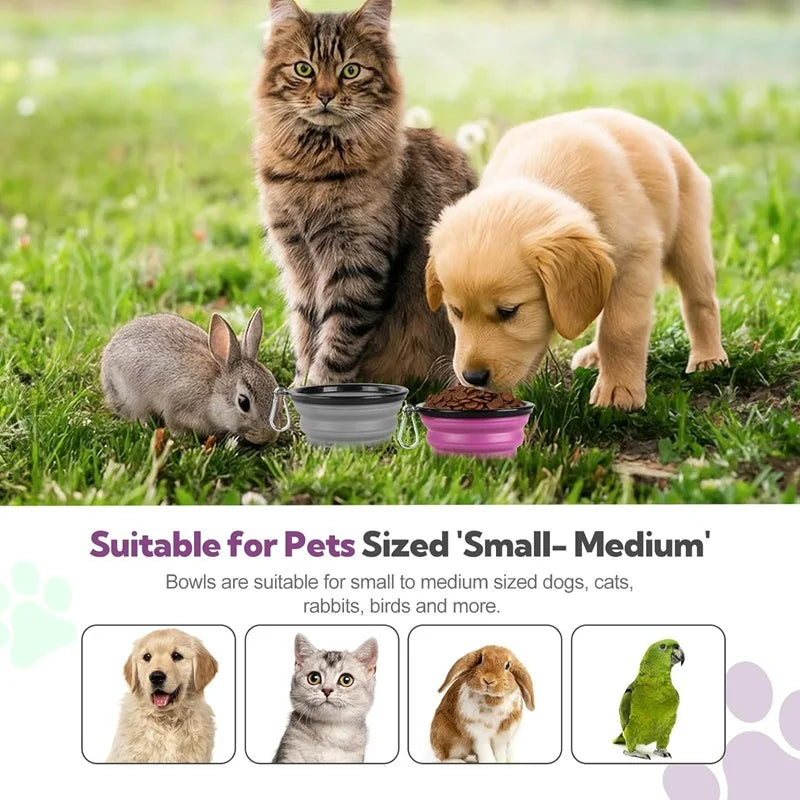 Travel Buddy Pet Feeder Kit