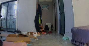 A1ad3d4a7581043dab540c03f7804a0cdq.png