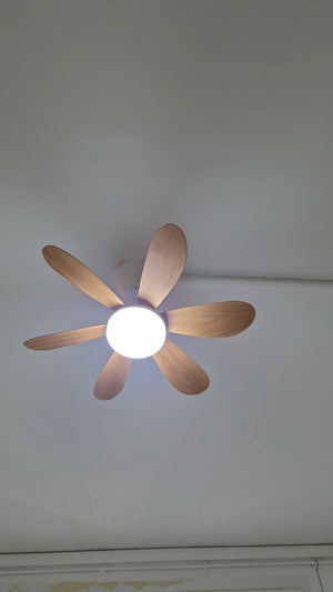 A550864ef07ce44daa5c84a15380ef19dE.jpg