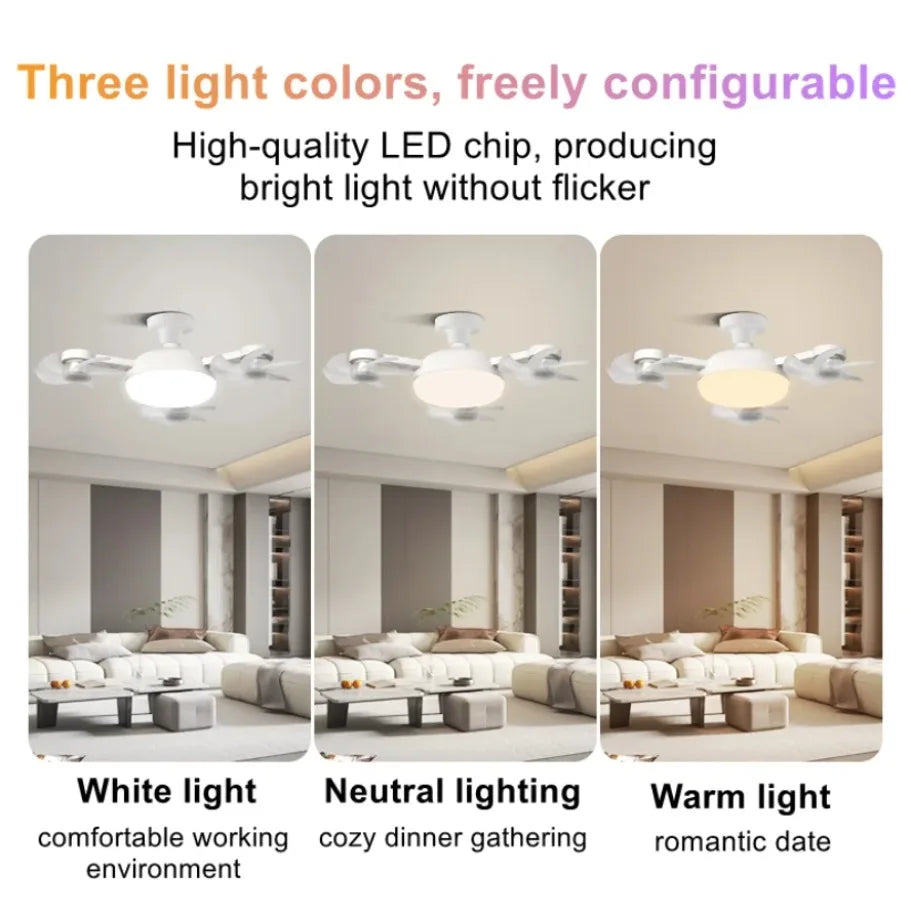 Elegant Breeze Light Fan