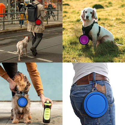 Travel Buddy Pet Feeder Kit