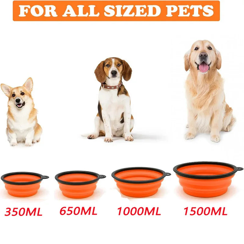 Travel Buddy Pet Feeder Kit