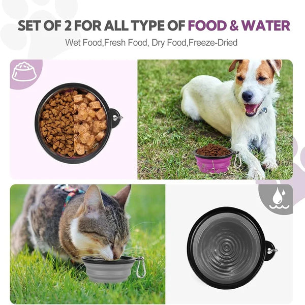 Travel Buddy Pet Feeder Kit