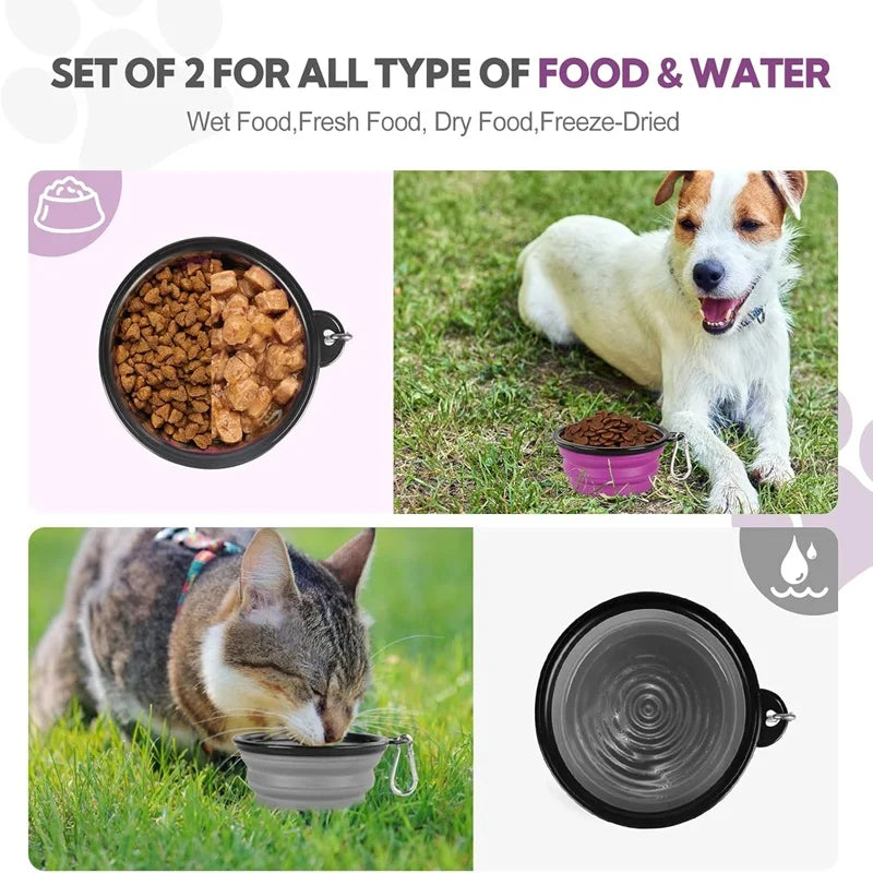 Travel Buddy Pet Feeder Kit