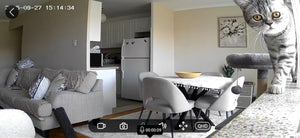 Sf2c0060e016d47f1b65b7dc53a7982c6z.jpg